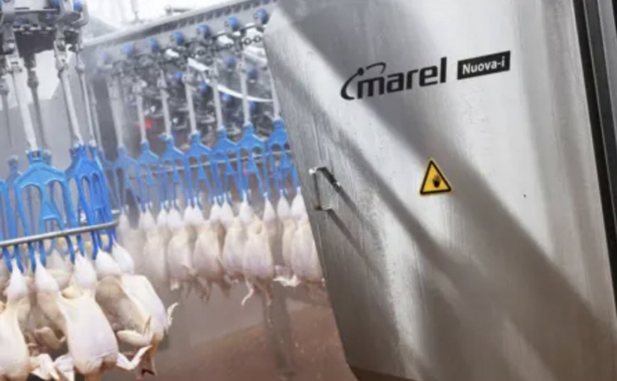 MAREL: Découvrez nos produits et services lors du salon CFIA 2024, Rennes, 12-14 mars